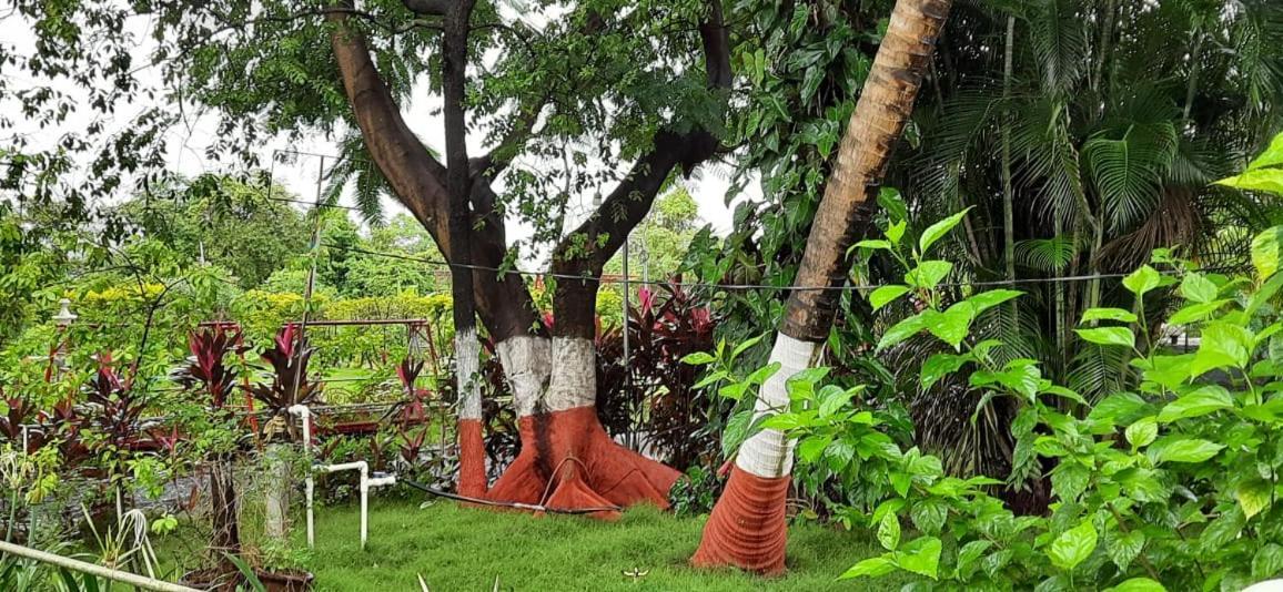 Prajakta Rest House Alibag Exterior photo